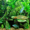 Bild 92